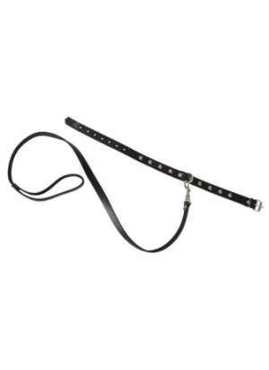 Collar with Leash